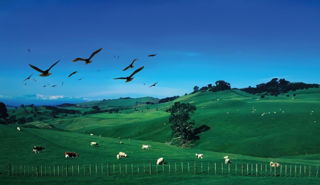 AESA International Symposium 2024 - Horizon scanning in veterinary epidemiology