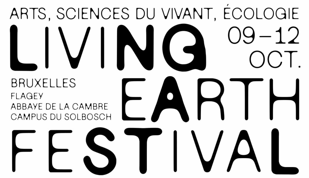 Affiche Festival A3