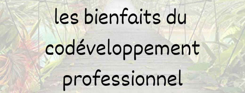 Afterwork : découverte du codéveloppement professionnel