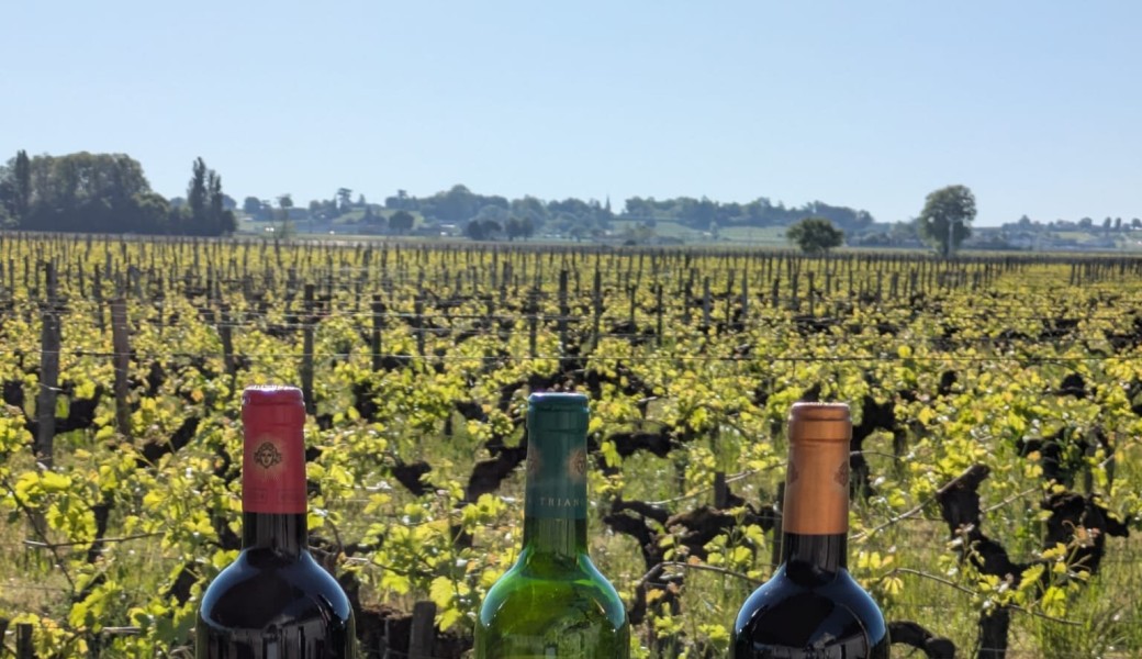 Afterwork Lecture de Mains et Verres de Vin, au Château Trianon, à Saint-Emilion