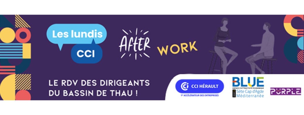 Afterwork réseautage des dirigeants du Bassin de Thau