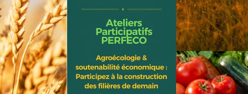 Agroécologie et soutenabilité économique