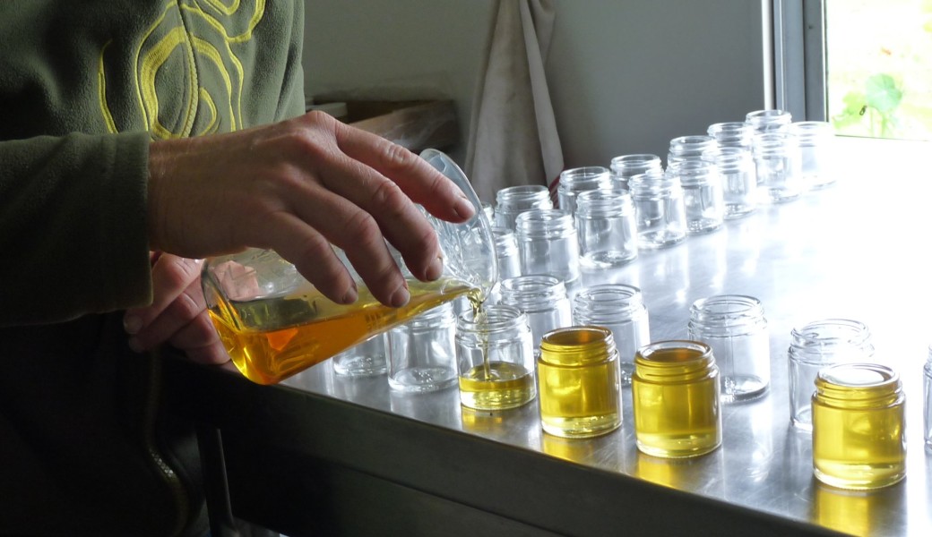 Alchimie 1 : Introduction aux techniques de transfo, macérats huileux