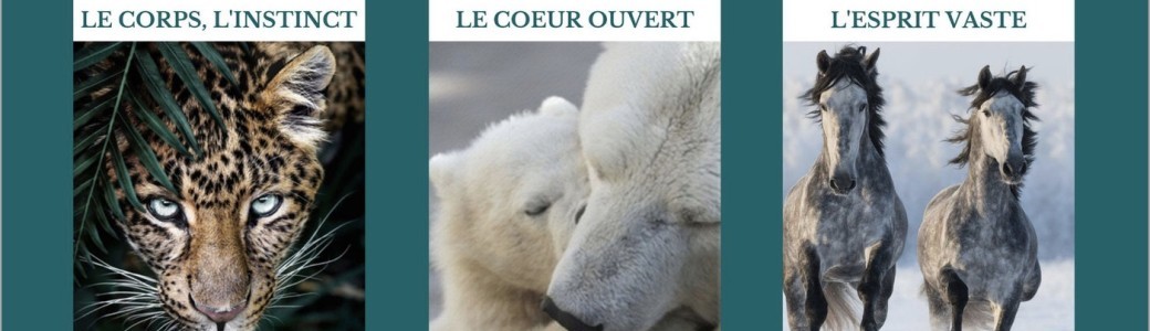 Aligner le corps, le coeur et l'esprit