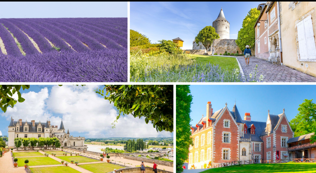 Amboise & Champs de Lavandin & Châteaudun - 12 juillet