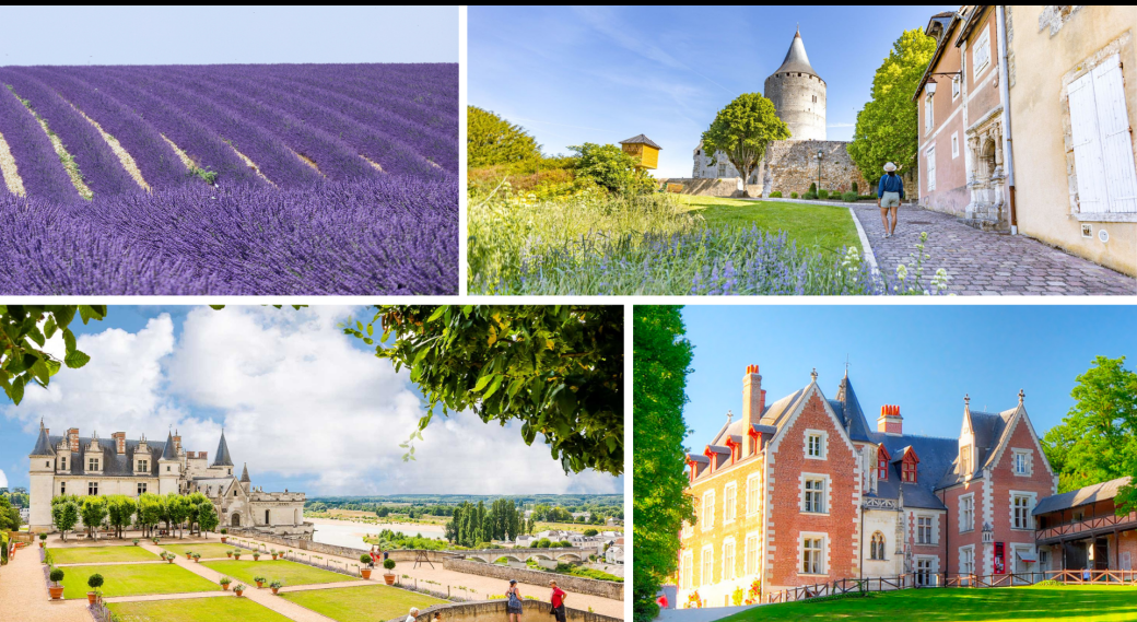 Amboise & Champs de Lavandin & Châteaudun - 13 juillet