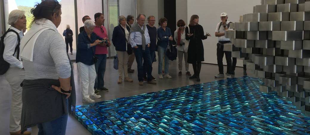 Adhésion Amis du Frac Sud-Cité de l'art contemporain, année 2024