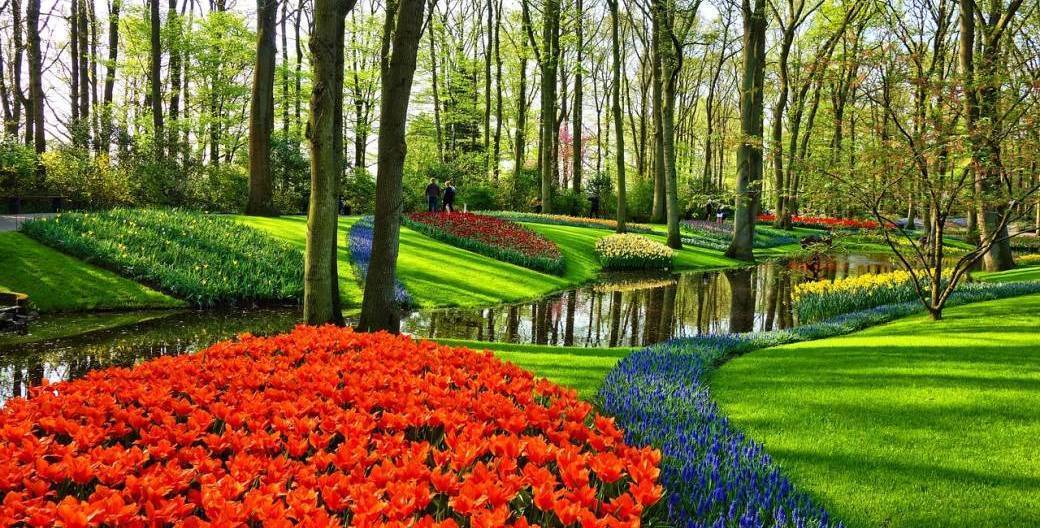 Amsterdam & Festival Tulipes 2024 - NOUVEAU DAY TRIP - 13 avril