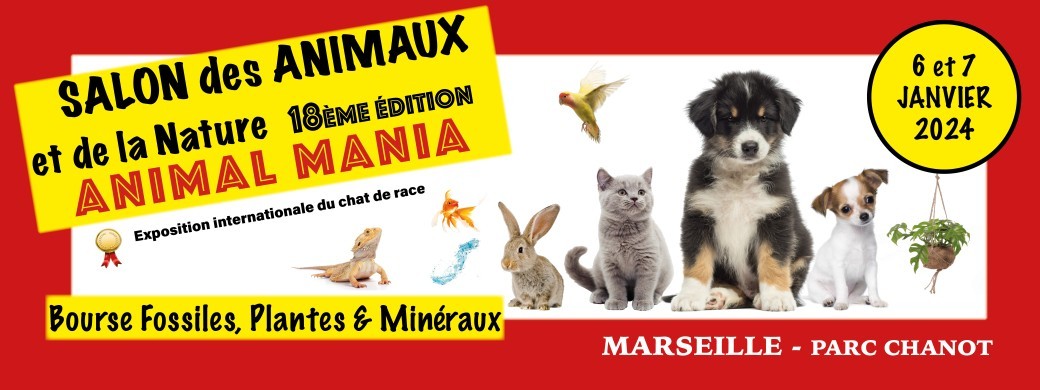 ANIMAL MANIA 2024
