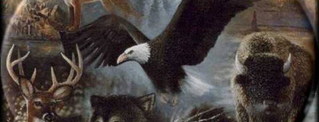 Animal totem janvier 2026