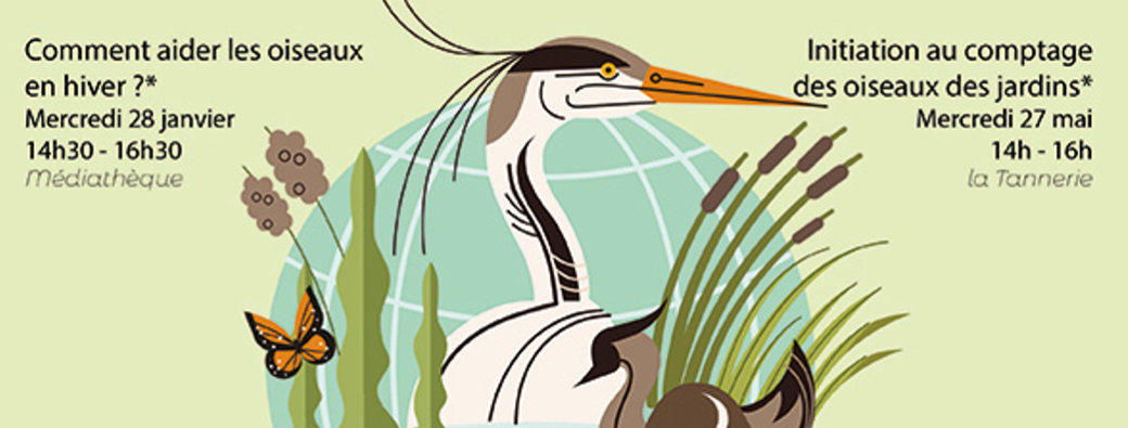 Animation ABC : Comment aider les oiseaux en hiver ?