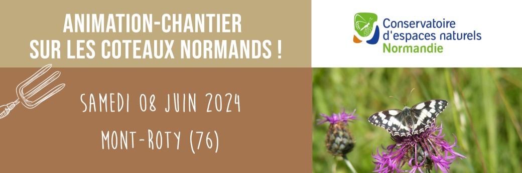 Animation-chantier sur les coteaux Normands ! 08/06/2024