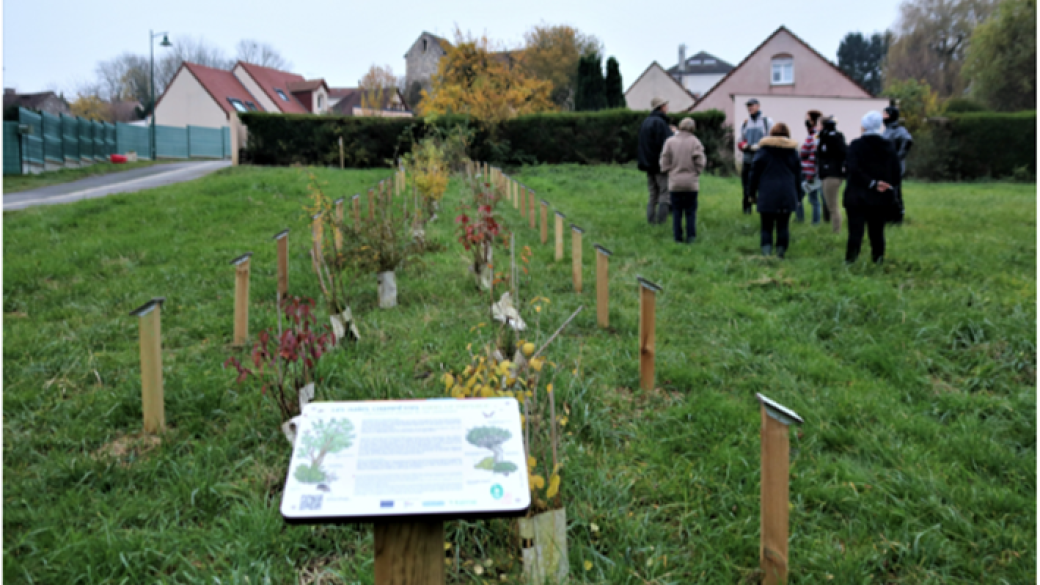 Animation « Créer et entretenir une haie champêtre » 