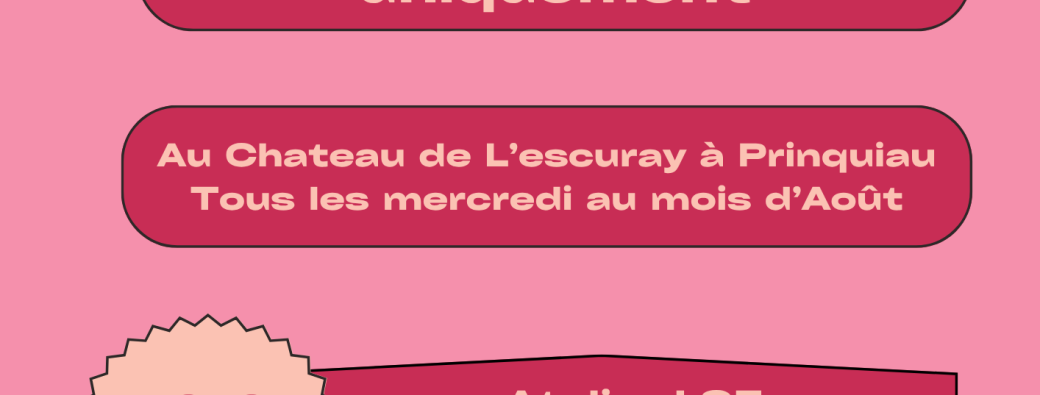 Animation flash à Prinquiau