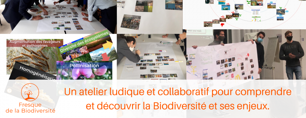 Animation Fresque de la Biodiversité - Par Geoffrey Vuillier