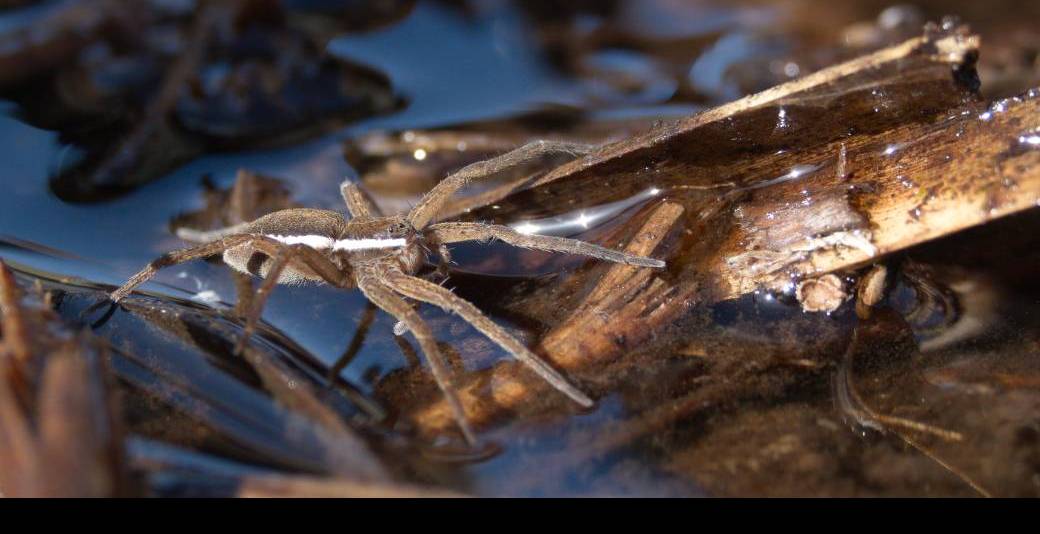 Animation - La vie du monde à l’envers 30/05/2026