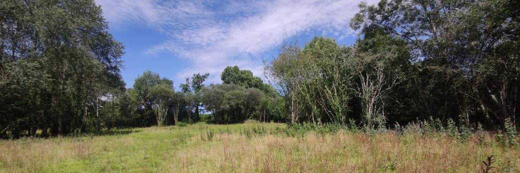 Animation - Criquets et sauterelles du site naturel de la Pitoisière