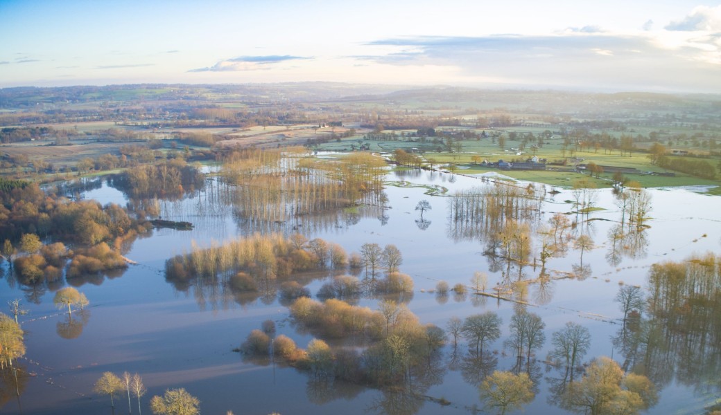 Animation Nature - Gestion agricole et conservatoire dans le marais de Rouellé 04/07/2026