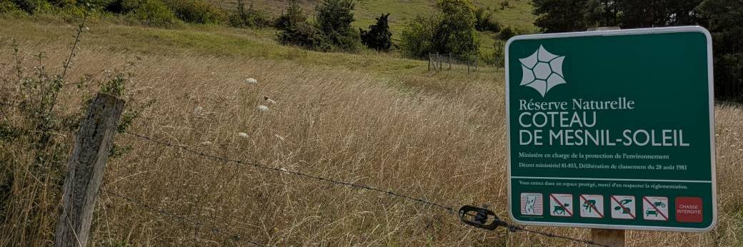 Animation nature sur la réserve naturelle du coteau de Mesnil-Soleil - 29/07/26