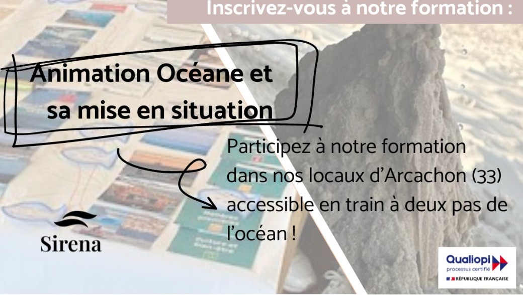 Animation Océane et sa mise en situation