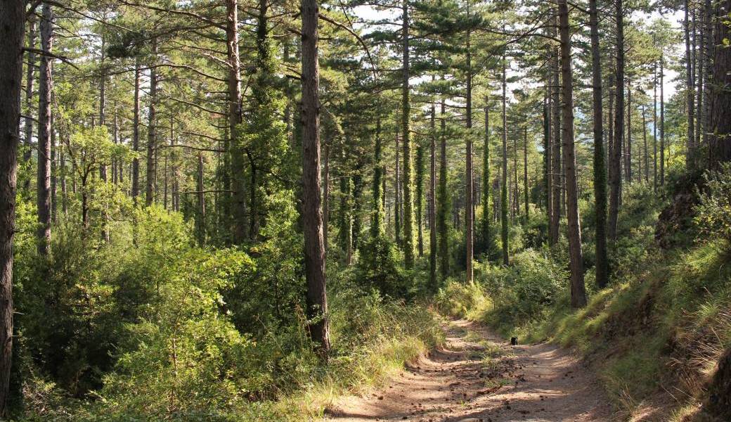 ANIMATION SPECIALE ADHERENTS DE FEVRIER