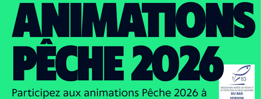 Animations 2026
