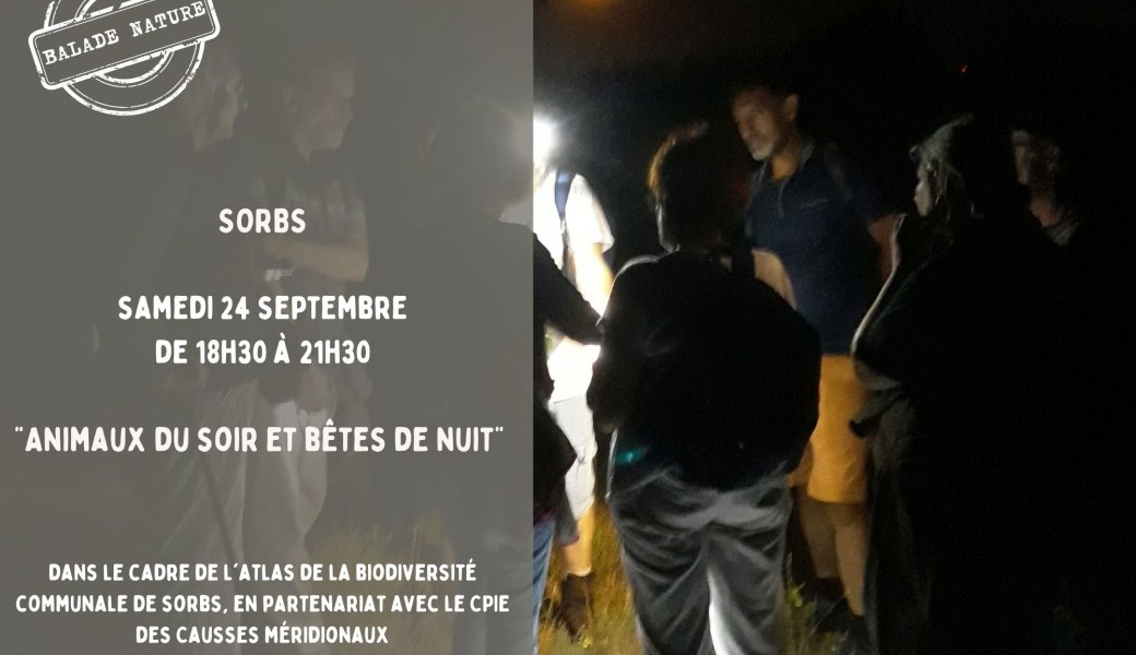 Animaux du soir et bêtes de nuit