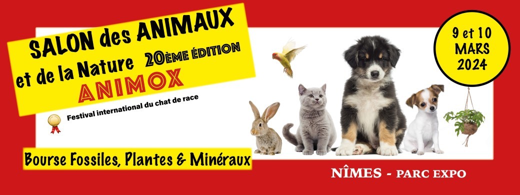 ANîMOX 2024