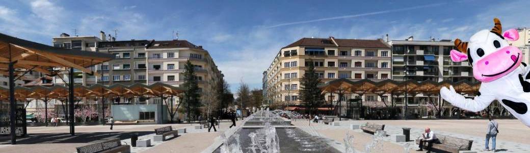 Adhésion Annemasse Commerces 2025