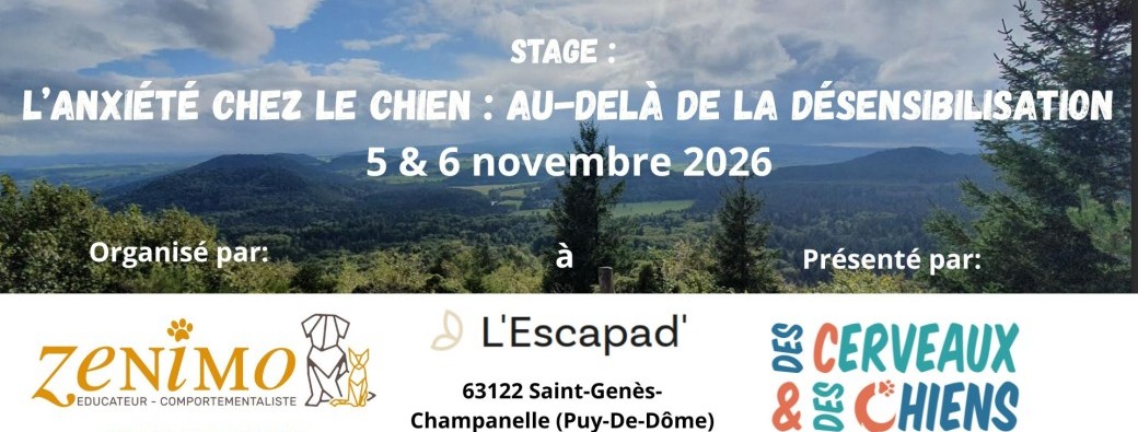 Anxiété chez le chien : au-delà de la désensibilisation
