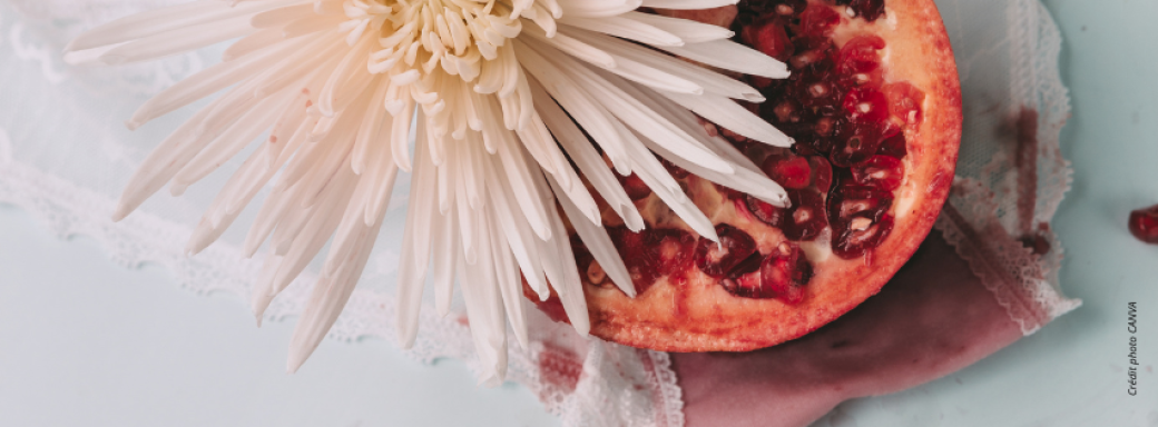 Apéro Naturo : la pré-ménopause, on en parle ?