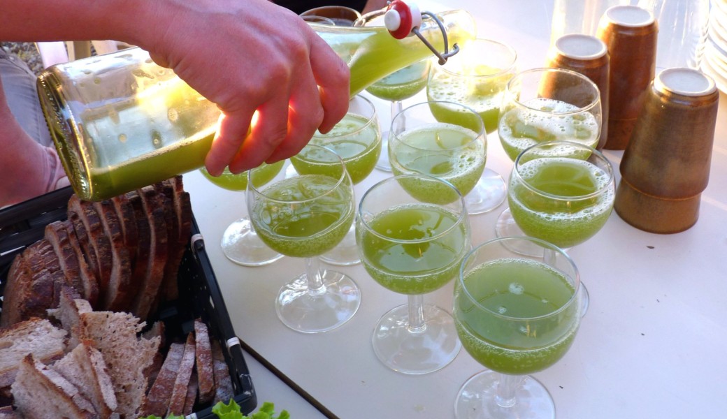 Apéro plantes !