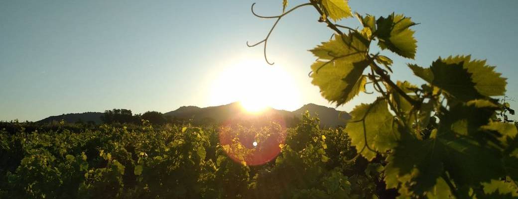 Apéro Sunset  Apéro Sunset