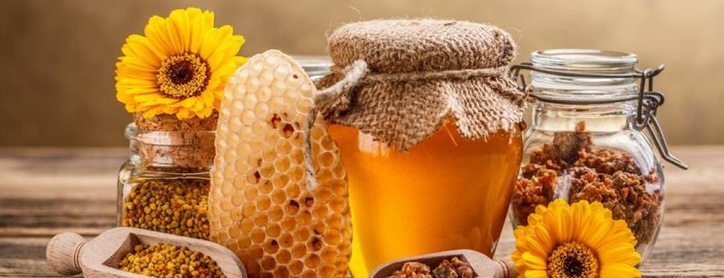 Apithérapie et réalisation d'un baume à la propolis 