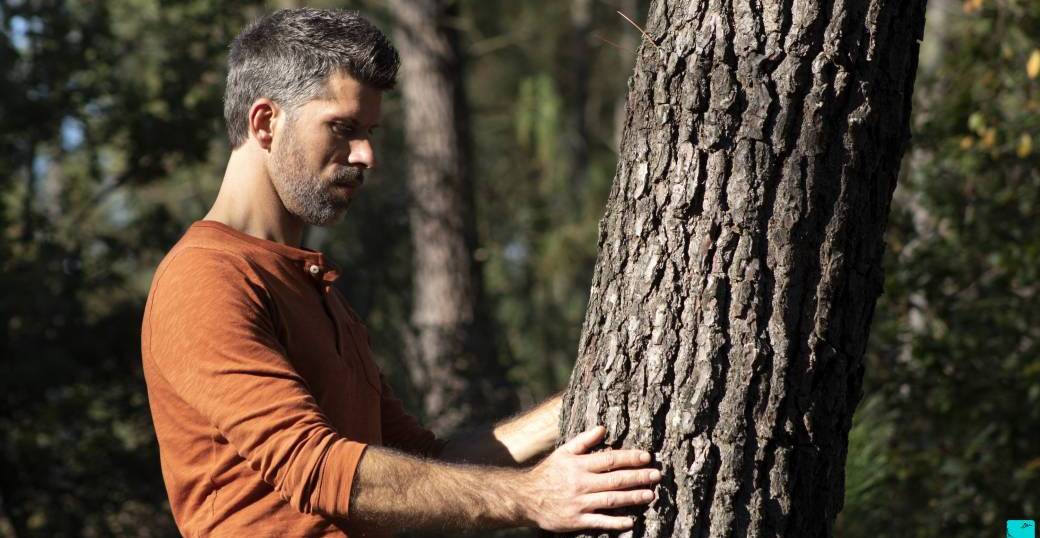 STAGE - Apprendre à bien communiquer avec les ARBRES