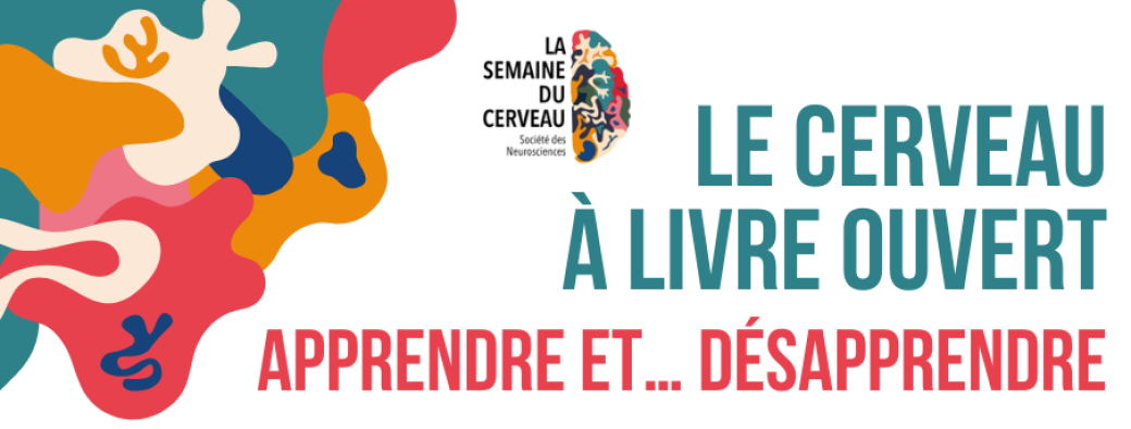 Apprendre et… désapprendre