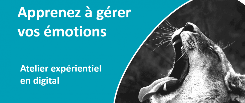 Apprenez à Gérer vos émotions