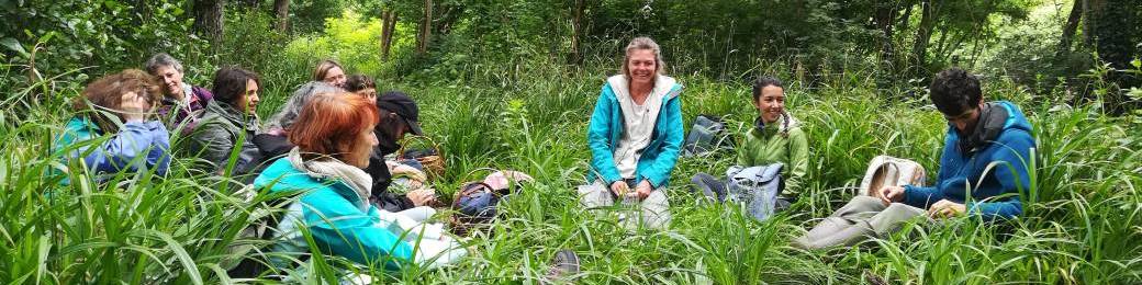 Apprentis'SAGES en Plantes Sauvages / 2 jours