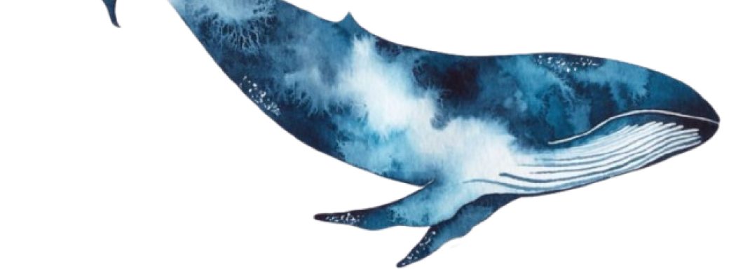 Aquarelle : animaux marins