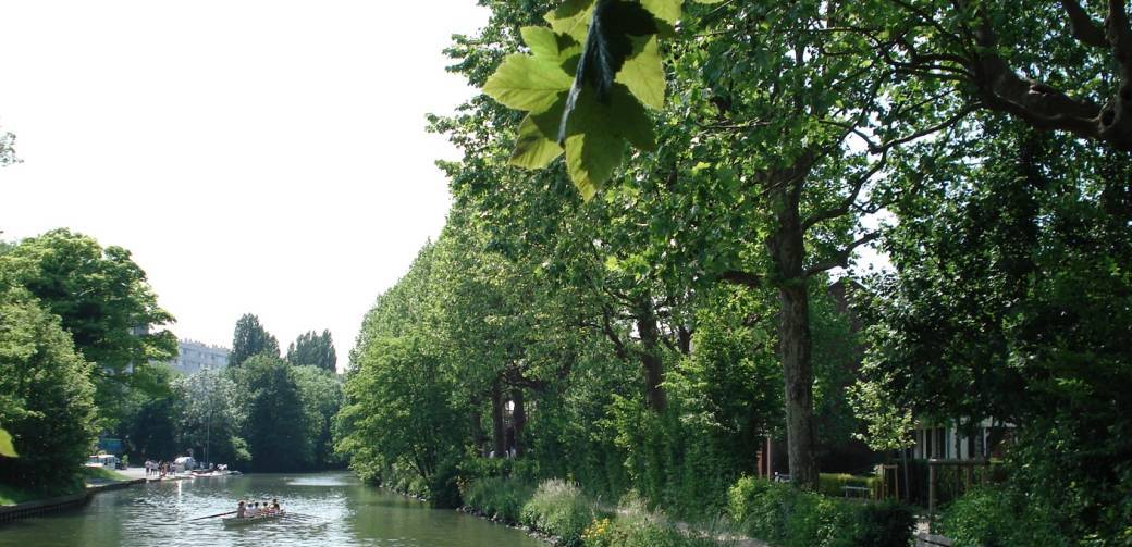 "Arbres et arbustes le long de la Deûle" à pied