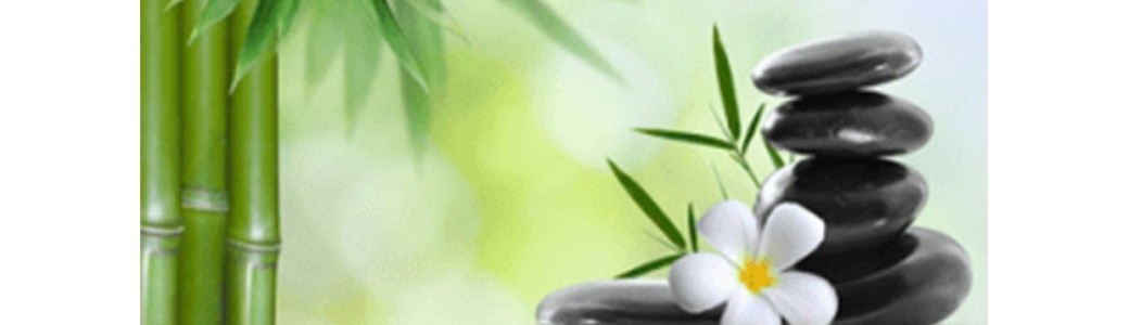 "De l'activité mentale à l'activité consciente"