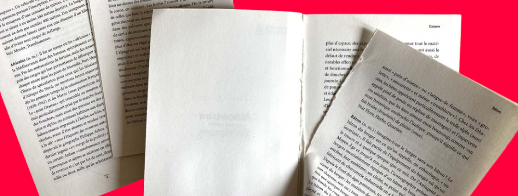 Arpentage: "Jouir: En Quête de l'orgasme" de Sarah Barmak