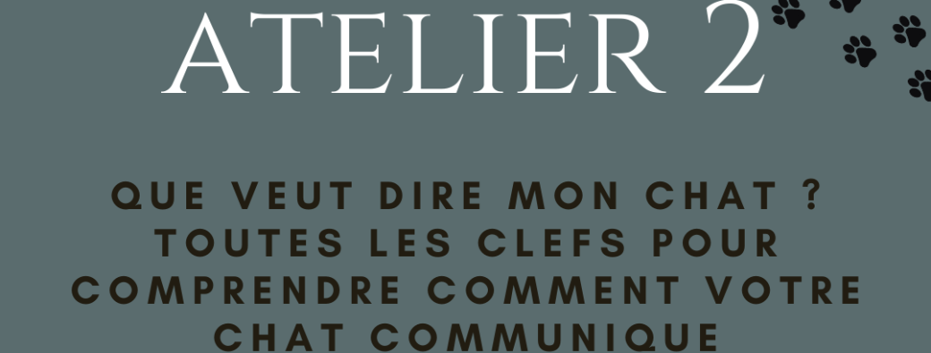 Atelier 2 