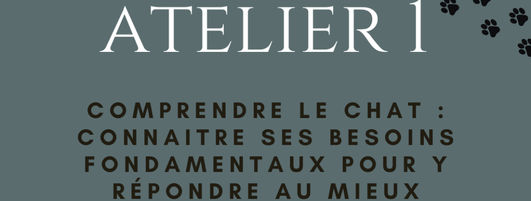 Atelier 1