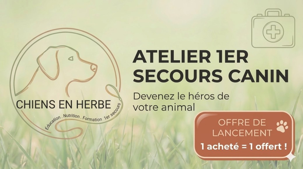 Atelier 1er Secours Canin - Chiens en Herbe