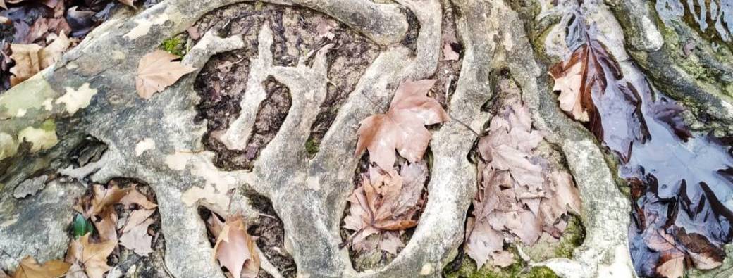 Atelier #3 : Gérer l'impact de l'éco-anxiété sur les relations aux autres 