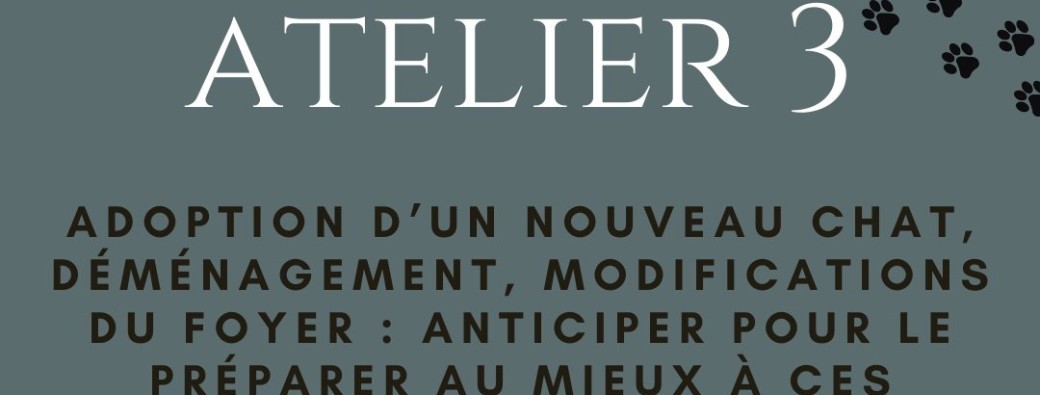 Atelier 3