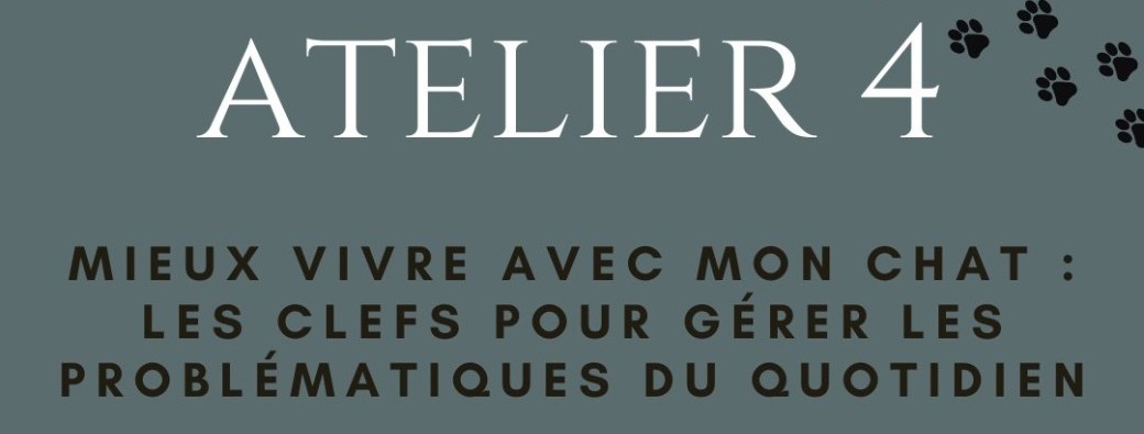 Atelier 4