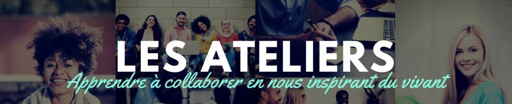 ATELIER 5 : ETRE LE "FACILITATEUR" AU SEIN D'UN GROUPE