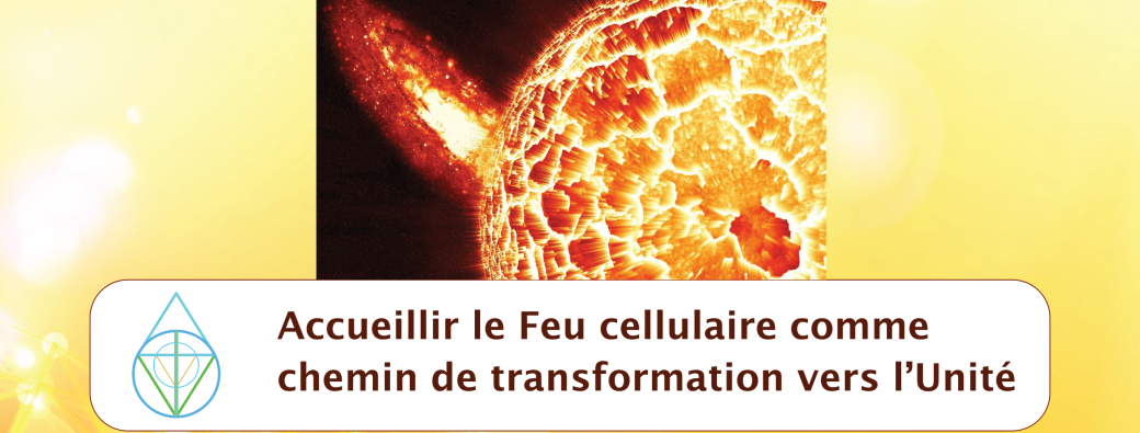 Atelier "Accueillir le Feu cellulaire comme chemin de transformation vers l'Unité"